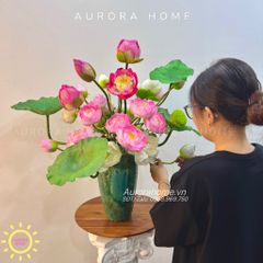 Bình hoa sen xinh đẹp Mộng Tĩnh cao cấp