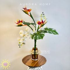Bình hoa lan hồ điệp giả Khuê Các phối thiên điểu