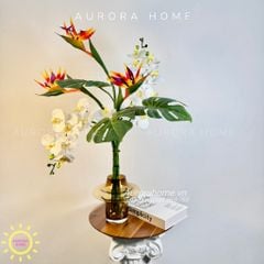 Bình hoa lan hồ điệp giả Khuê Các phối thiên điểu