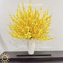Bình hoa lan vũ nữ rực rỡ trang trí sảnh lớn sang trọng Melina Brine