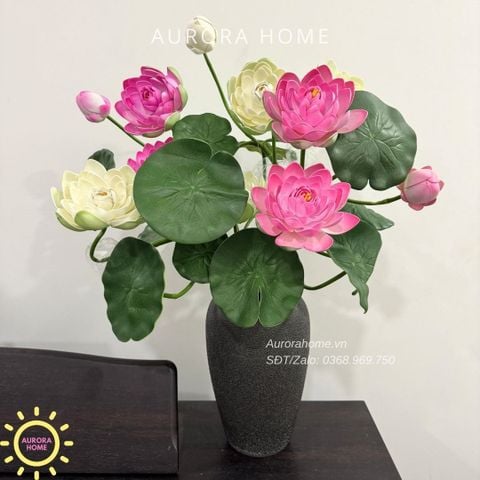 Bình hoa sen xinh đẹp Tĩnh Tâm cao cấp