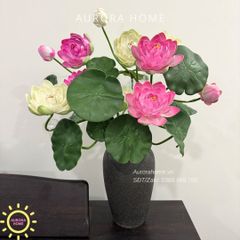 Bình hoa sen xinh đẹp Tĩnh Tâm cao cấp