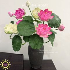 Bình hoa sen xinh đẹp Tĩnh Tâm cao cấp