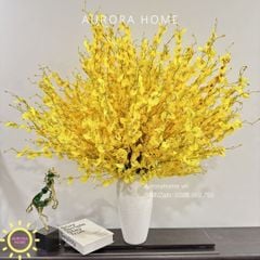 Bình hoa lan vũ nữ rực rỡ trang trí sảnh lớn sang trọng Melina Brine