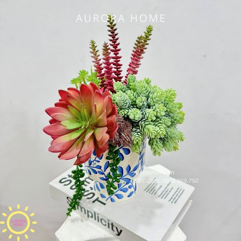 Bình hoa sen đá thiết kế Tina Tika