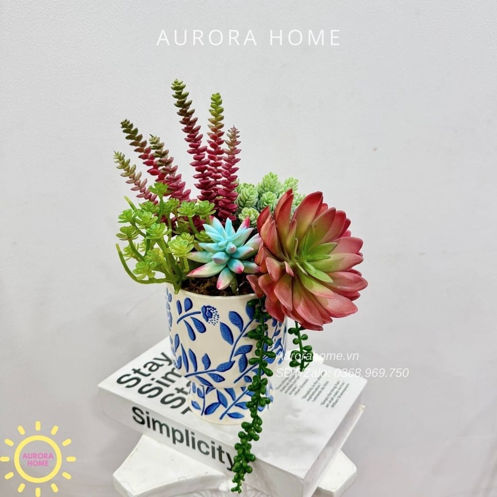 Bình hoa sen đá thiết kế Tina Tika