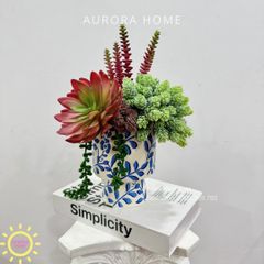 Bình hoa sen đá thiết kế Tina Tika