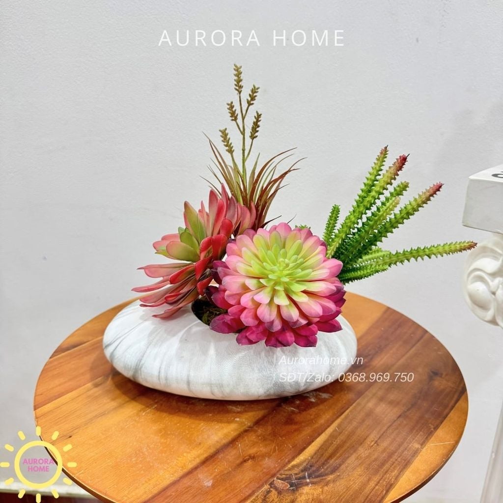 Chậu hoa sen đá thiết kế Xina Tima