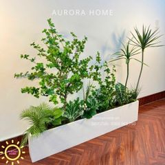 Bồn cây xanh decor trang trí (Mẫu 32)
