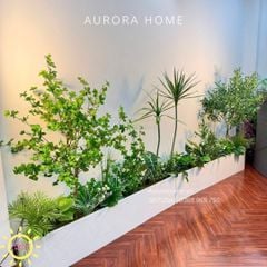 Bồn cây xanh decor trang trí (Mẫu 32)