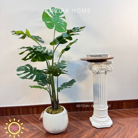 Cây giả Premium cây Monstera lá rùa xinh xắn
