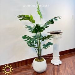 Cây giả Premium cây Monstera lá rùa xinh xắn