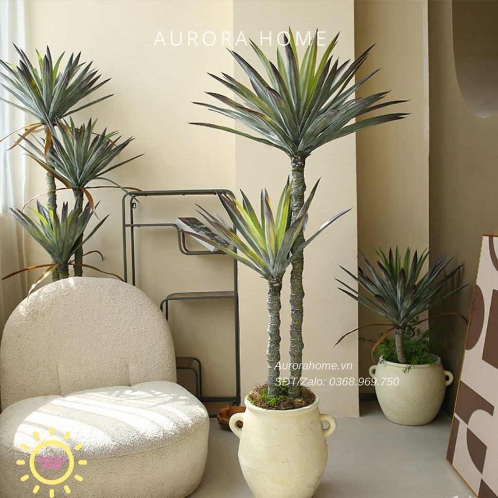 Cây phát tài núi giả đẹp như thật