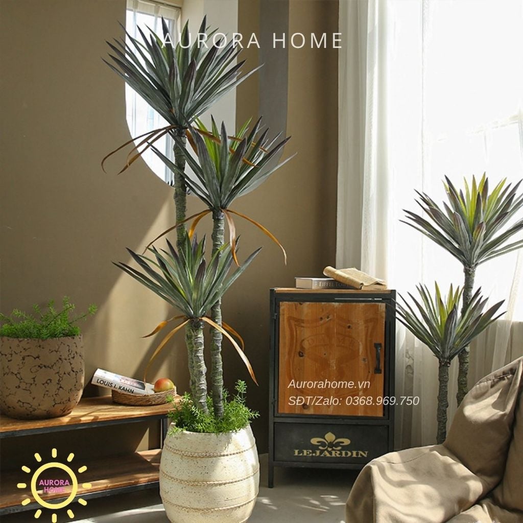 Cây phát tài núi giả đẹp như thật