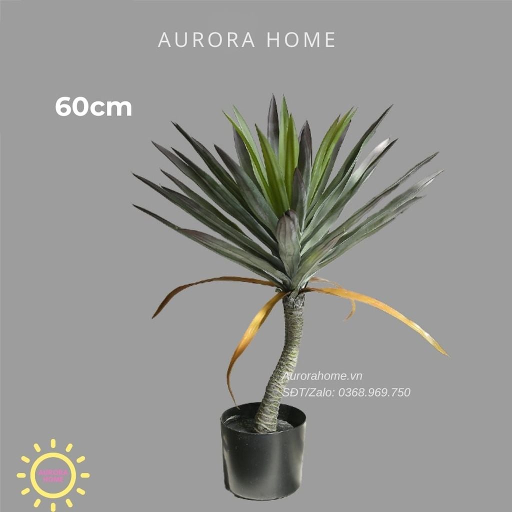 Cây phát tài núi giả đẹp như thật