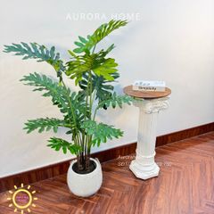 Cây giả Premium cây trầu bà thanh xuân xinh xắn