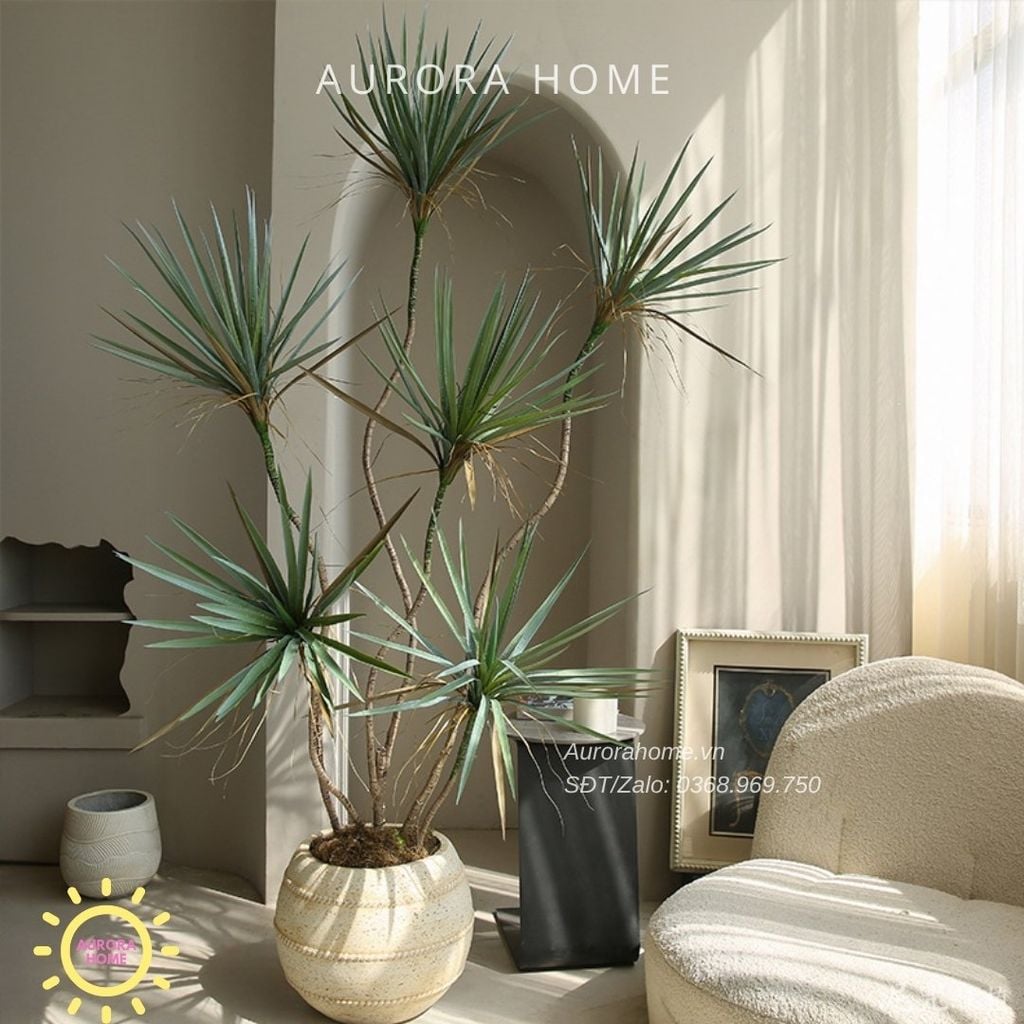 Cây huyết dụ kiếm giả cao cấp