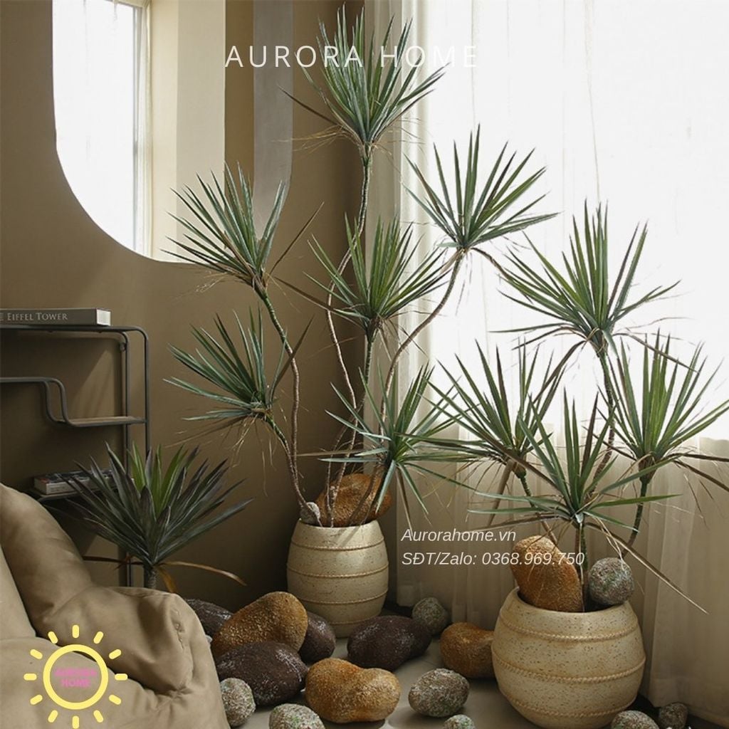 Cây huyết dụ kiếm giả cao cấp