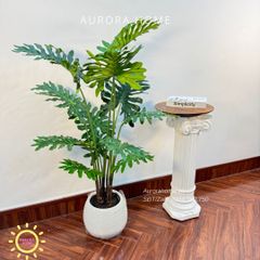 Cây giả Premium cây trầu bà thanh xuân xinh xắn
