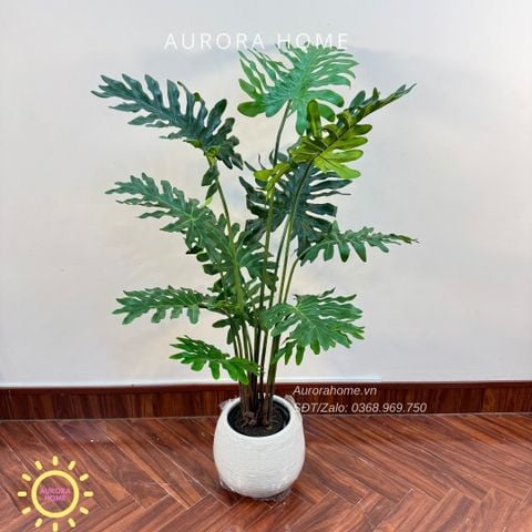 Cây giả Premium cây trầu bà thanh xuân xinh xắn