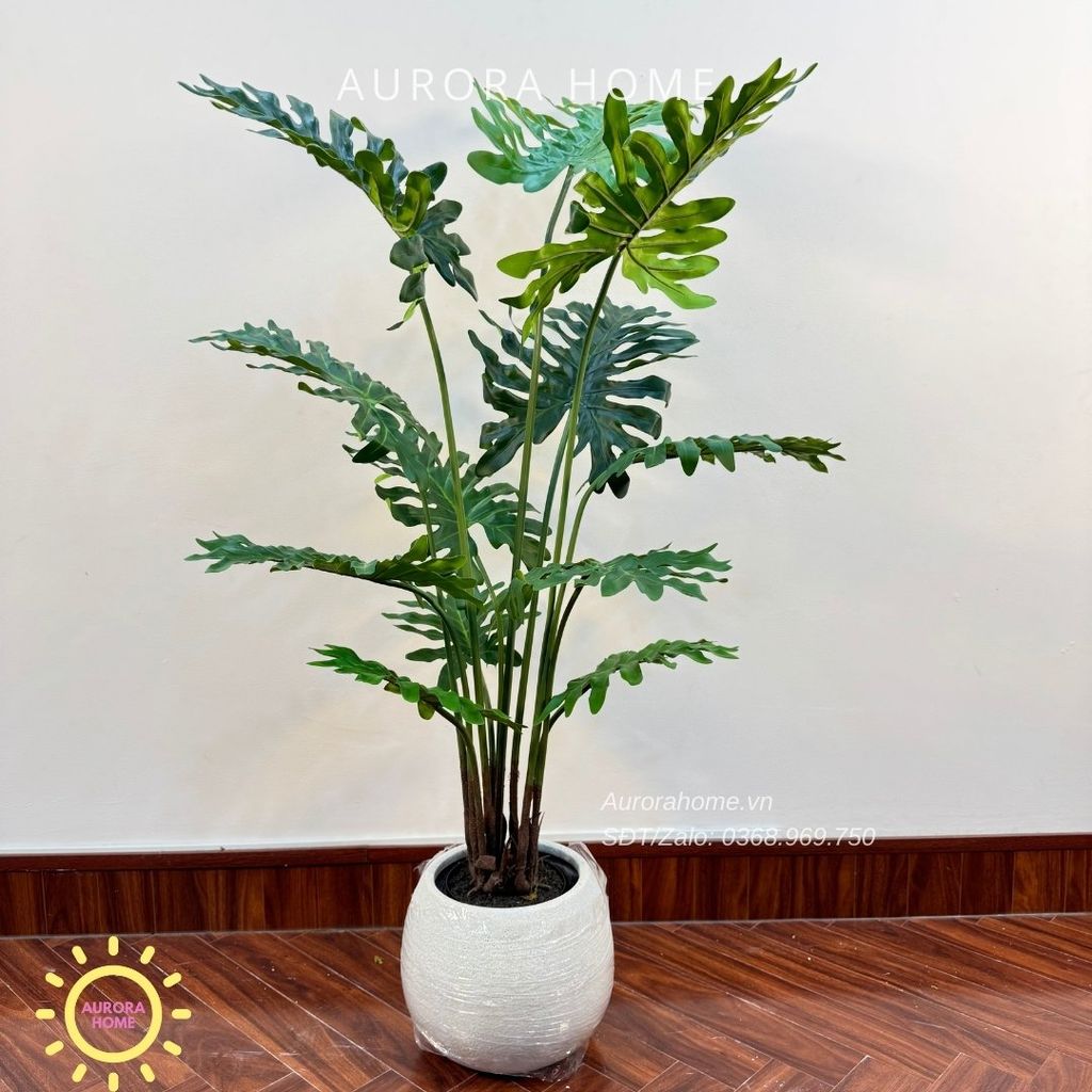 Cây giả Premium cây trầu bà thanh xuân xinh xắn