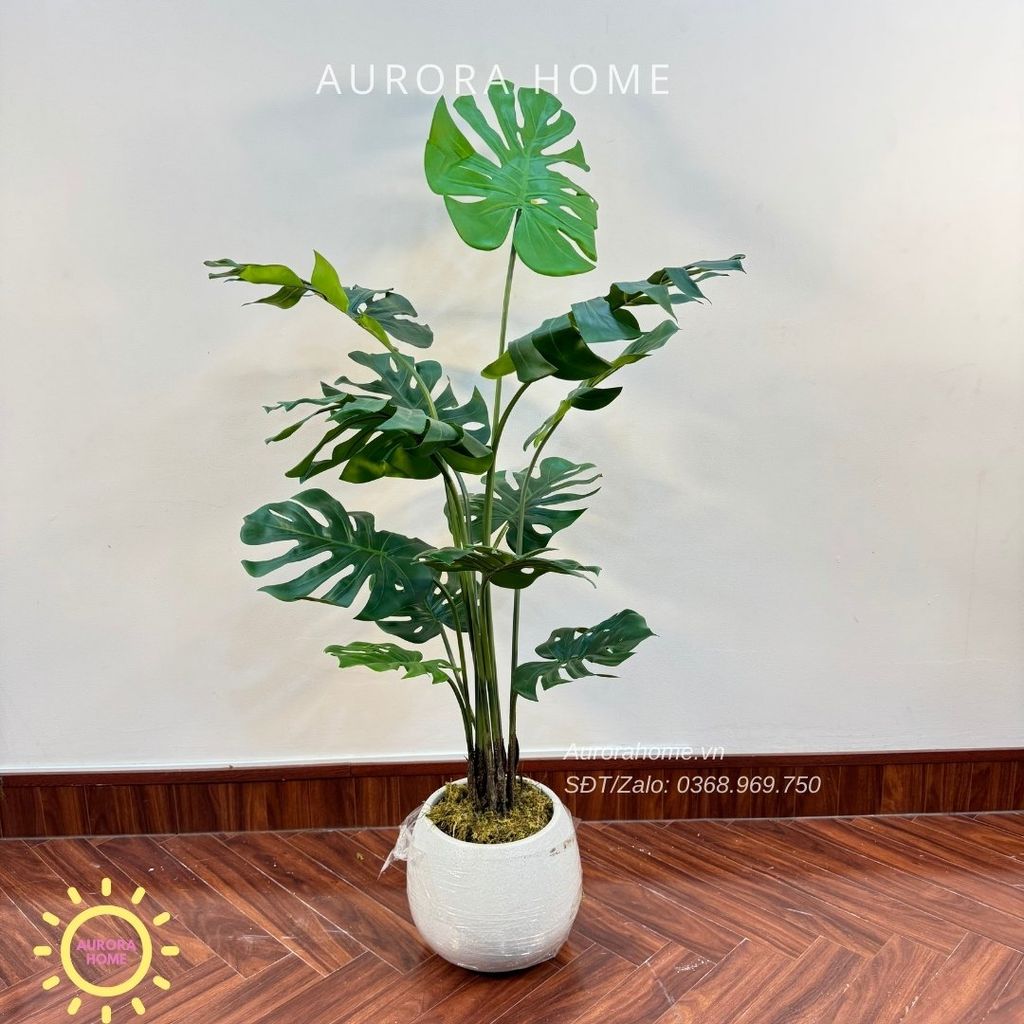 Cây giả Premium cây Monstera lá rùa xinh xắn