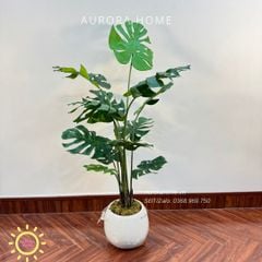 Cây giả Premium cây Monstera lá rùa xinh xắn