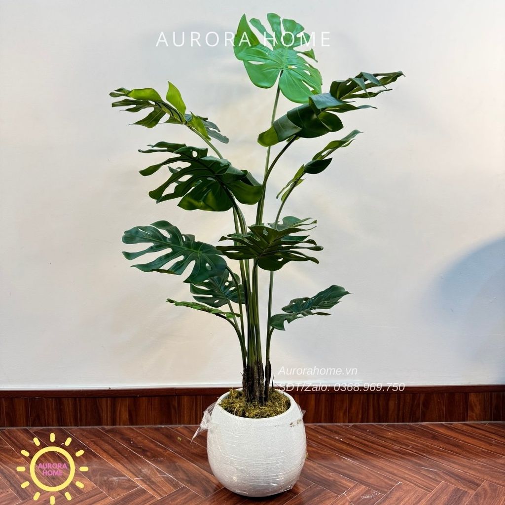 Cây giả Premium cây Monstera lá rùa xinh xắn