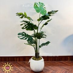 Cây giả Premium cây Monstera lá rùa xinh xắn