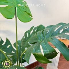 Cây giả Premium cây Monstera lá rùa xinh xắn