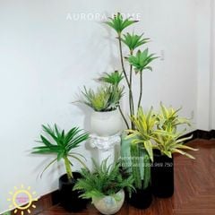 Tiểu cảnh combo cây giả decor (Set 14)