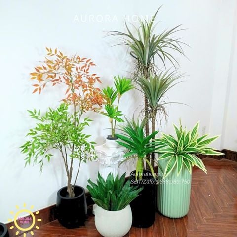 Tiểu cảnh combo cây giả decor (Set 16)