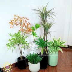 Tiểu cảnh combo cây giả decor (Set 16)