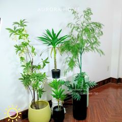 Tiểu cảnh combo cây giả decor (Set 16)