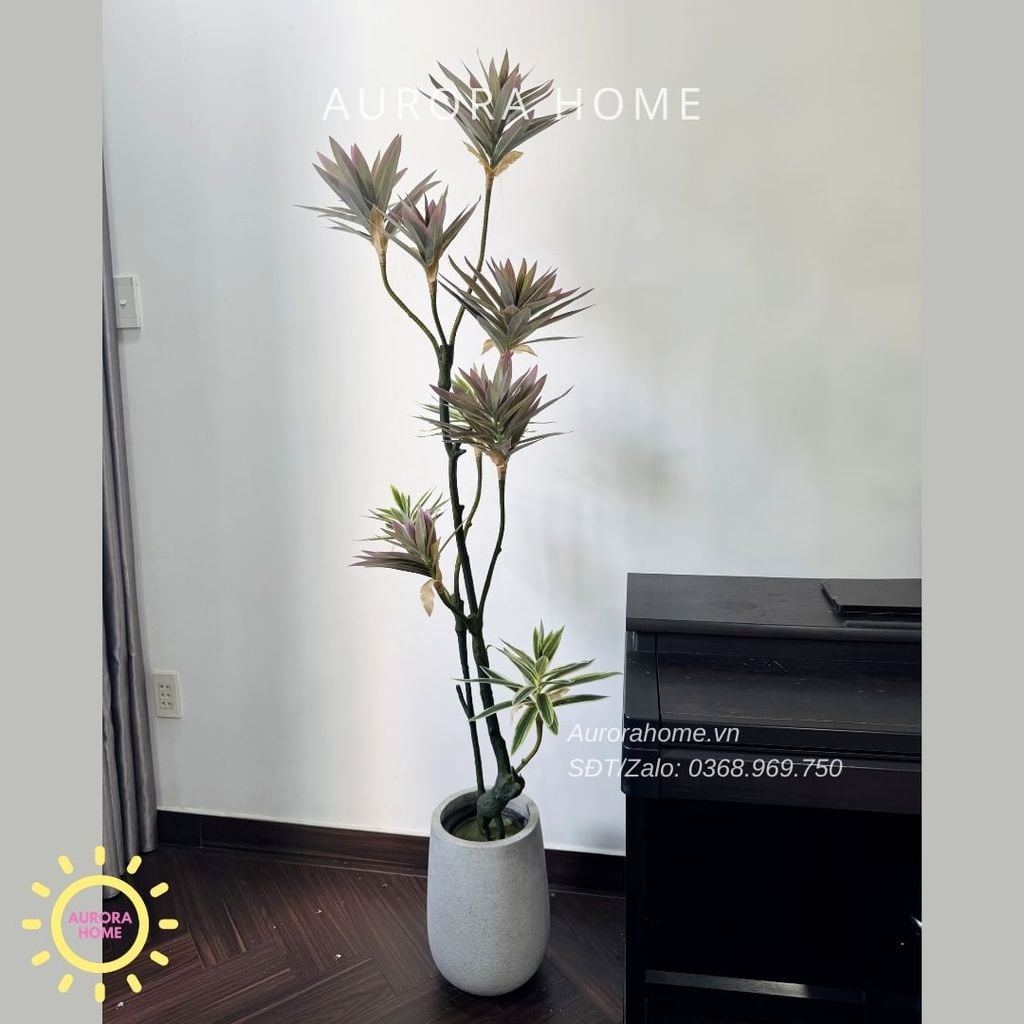 Cây giả Premium Cây Phát Tài Đại Lộc Mini (Tím)