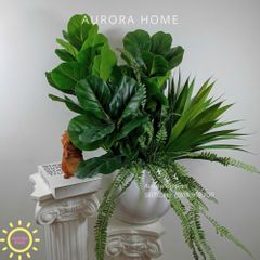 Chậu cây giả Bàng Singapore BST Xanh Tươi mix mẫu 02