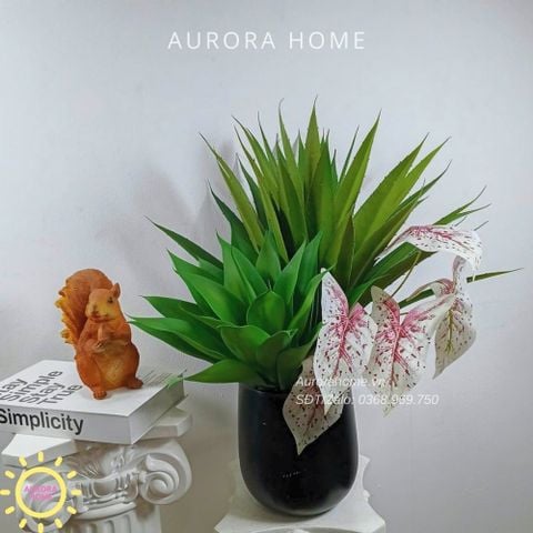 Chậu cây thùa giả BST Xanh Tươi mix mẫu 03