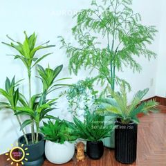 Tiểu cảnh combo cây giả decor (Set 12)