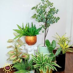 Tiểu cảnh combo cây giả decor (Set 13)