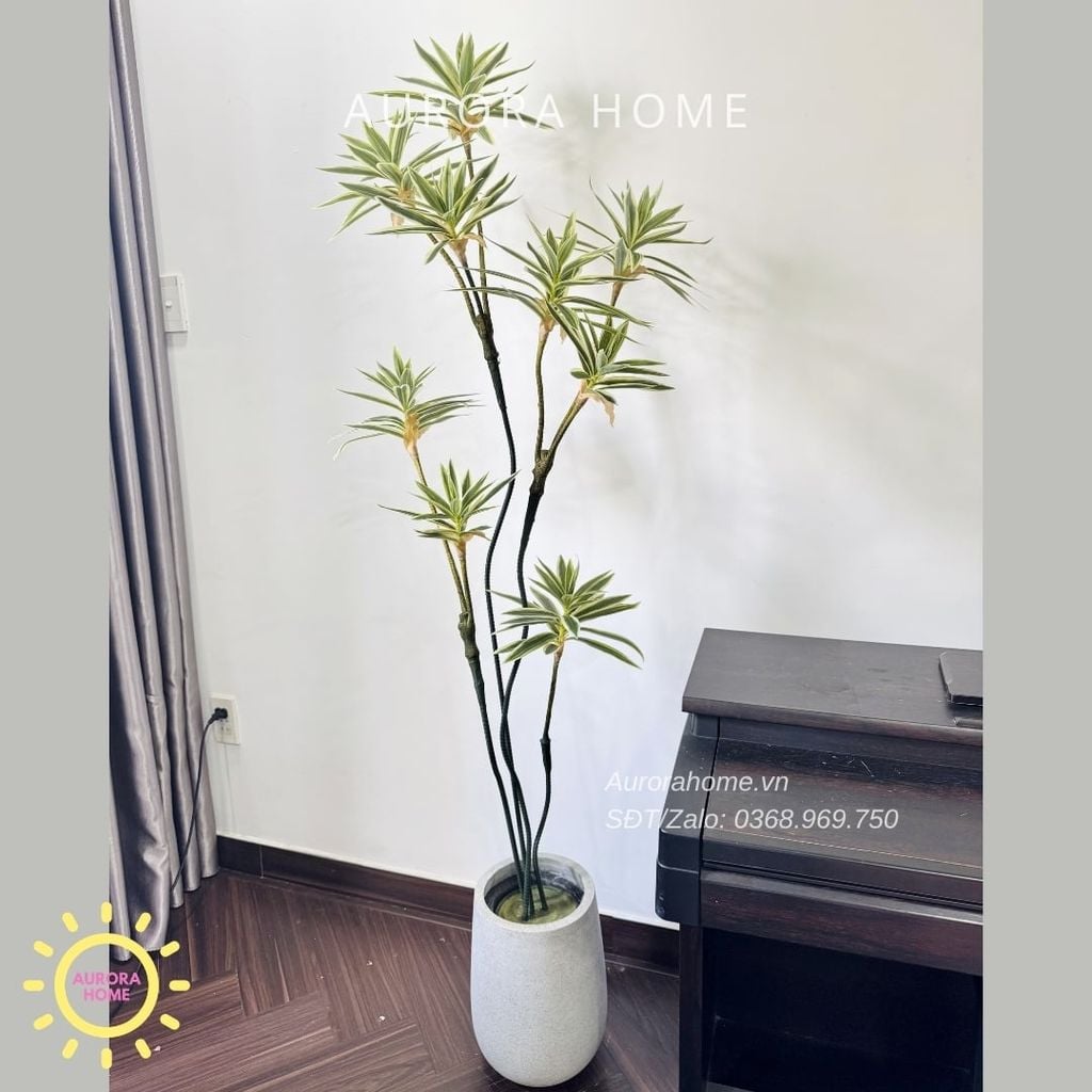 Cây giả Premium Cây Phát Tài Đại Lộc Mini (Trắng Xanh)