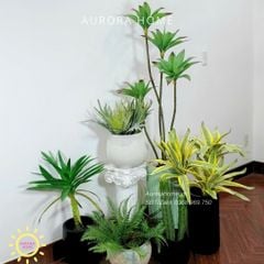 Tiểu cảnh combo cây giả decor (Set 14)