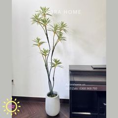 Cây giả Premium Cây Phát Tài Đại Lộc Mini (Trắng Xanh)