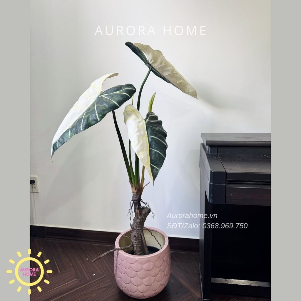 Cây giả Premium Cây Môn Ngựa Salian Alocasia bạch biến 120cm