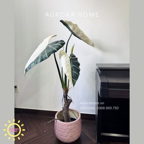 Cây giả Premium Cây Môn Ngựa Salian Alocasia bạch biến 120cm