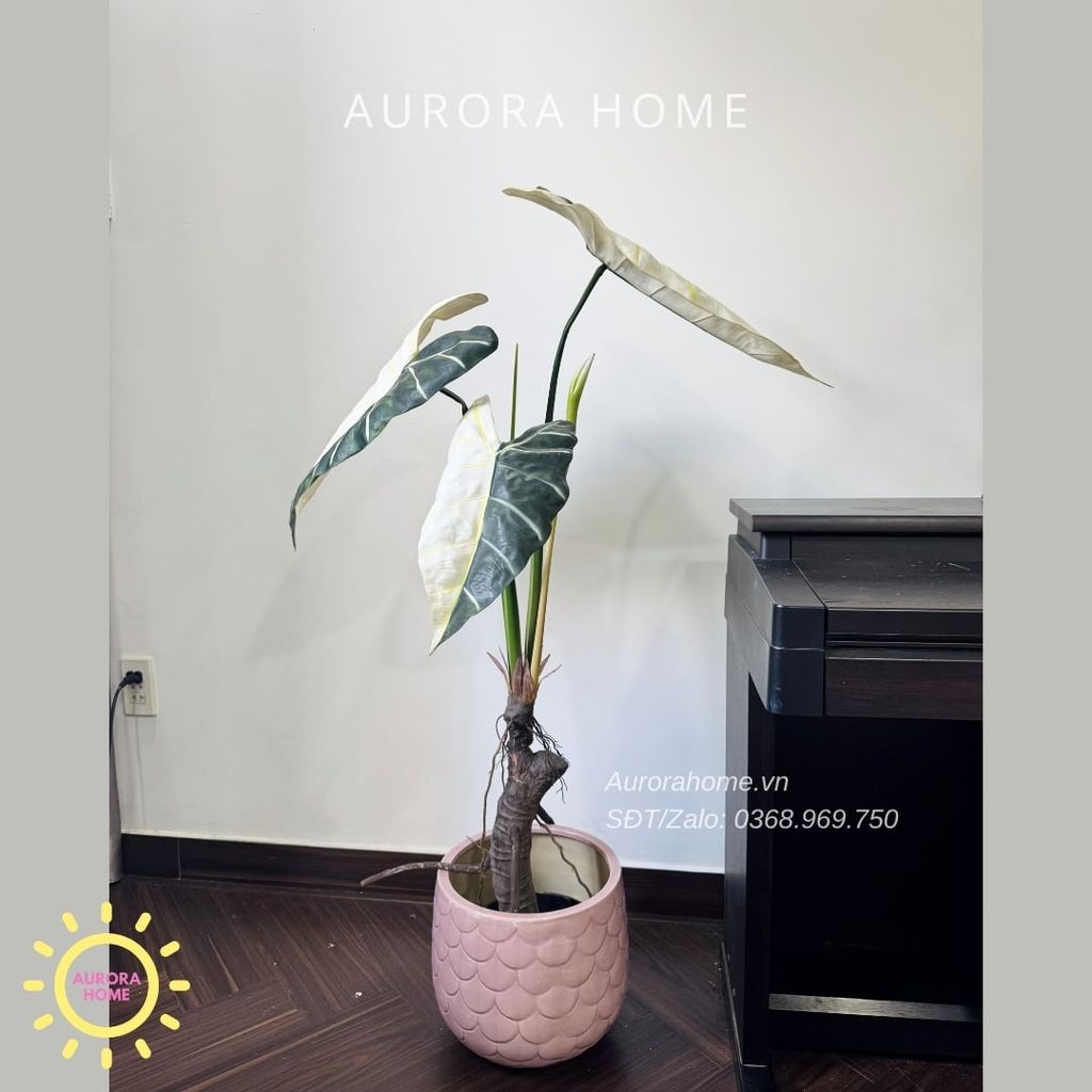 Cây giả Premium Cây Môn Ngựa Salian Alocasia bạch biến 120cm