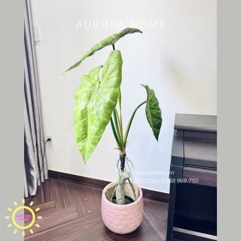 Cây giả Premium Cây Môn Ngựa Salian Alocasia 120cm