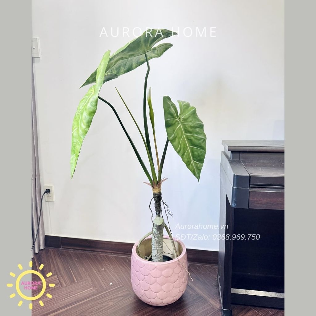 Cây giả Premium Cây Môn Ngựa Salian Alocasia 120cm
