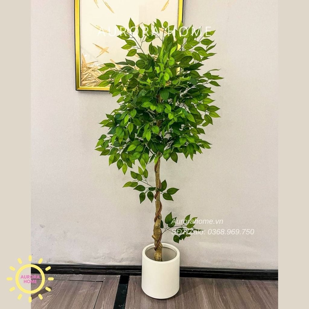 Cây si giả trang trí cao cấp