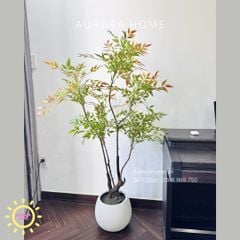 Cây giả Premium Cây Nam Thiên Trúc Xanh Phớt Đỏ