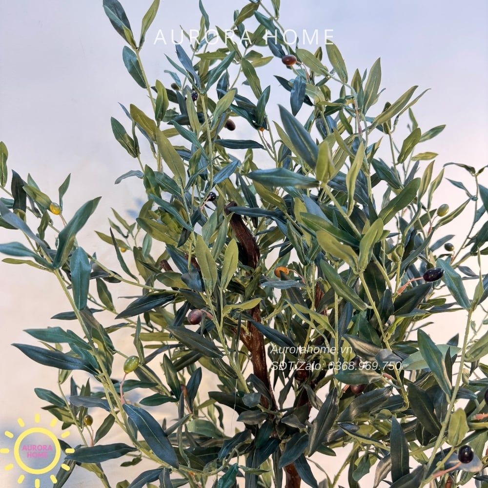 Tiểu cảnh combo cây giả decor (Set 08)